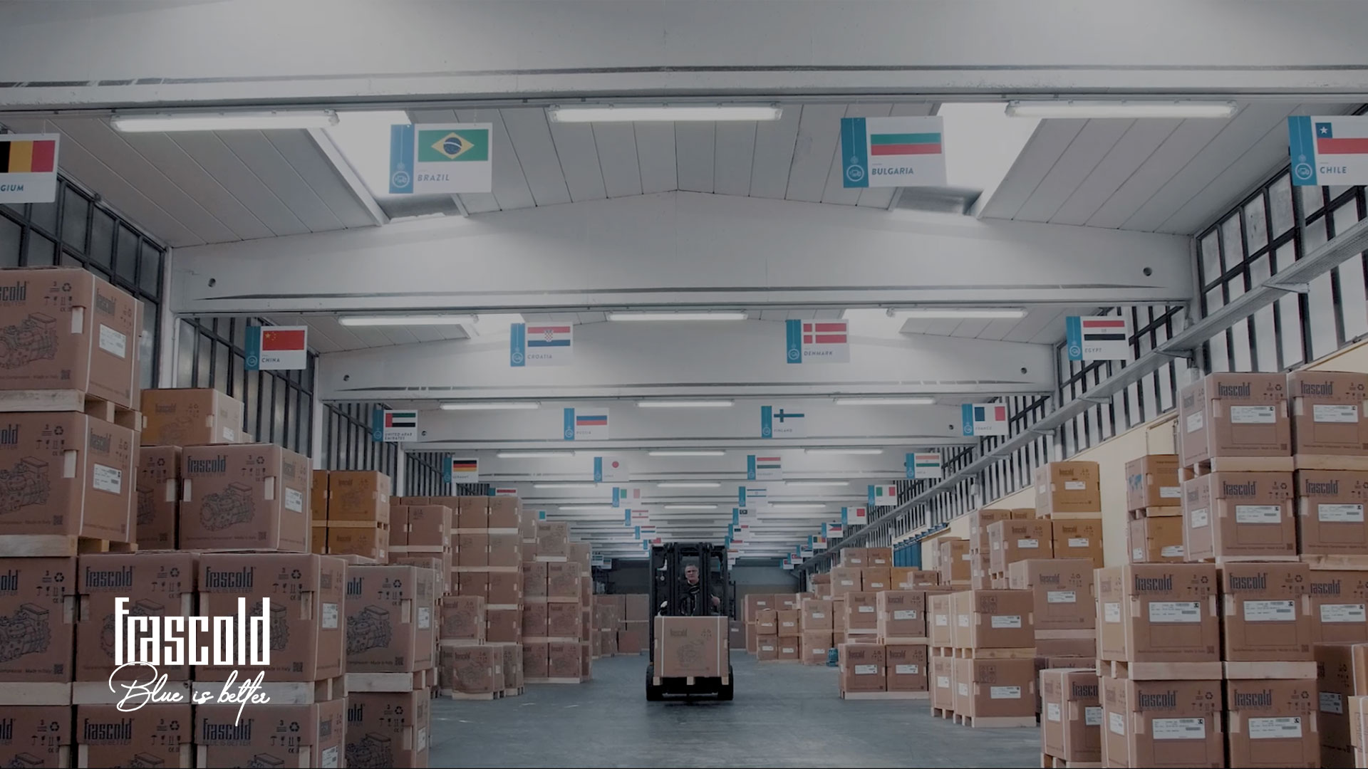 Video corporate milano Frascold