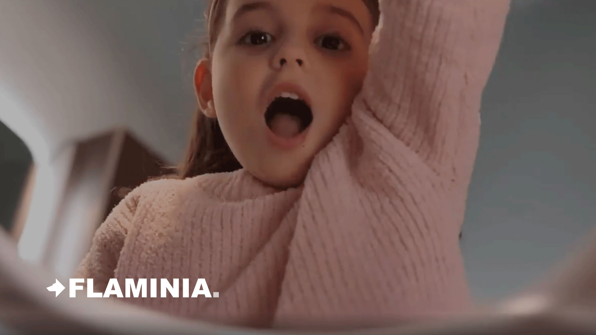 Flaminia-spot tv milano